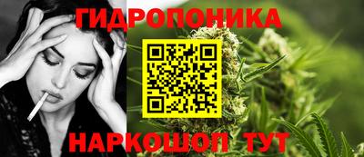 эйфоретик Кимры