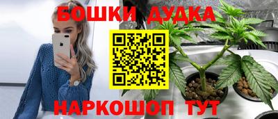 эйфоретик Кимры