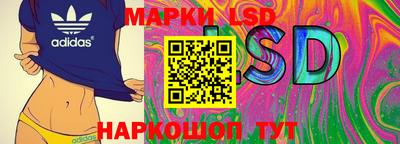эйфоретик Кимры