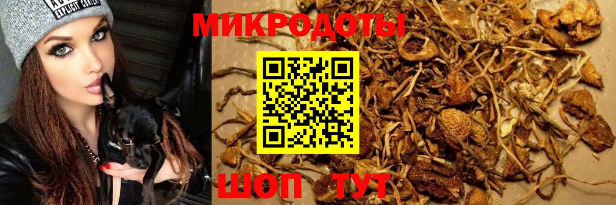 Галлюциногенные грибы ЛСД  Галлюциногенные грибы GOLDEN TEACHER  Касимов  Вход с VPN 